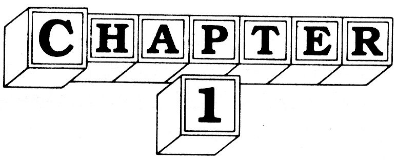 Picture of the header for chapter 1, with letters in 3D blocks