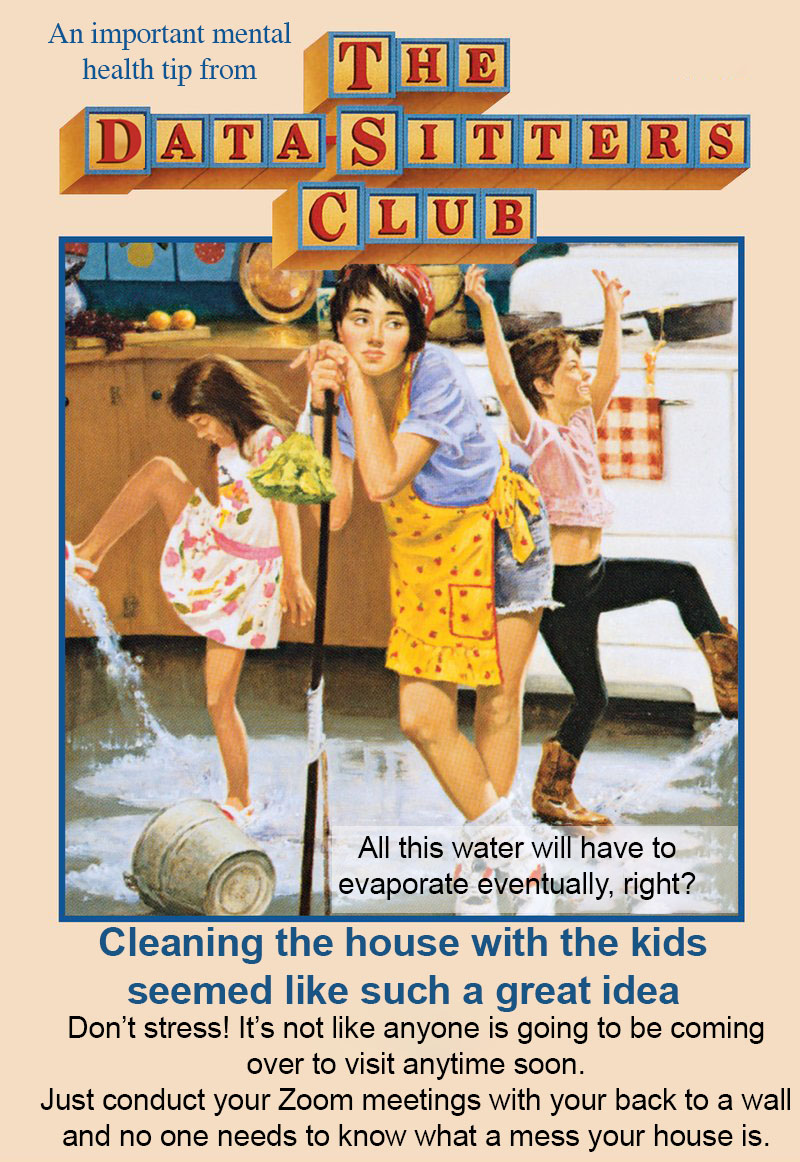Cleaning the house with kids seemed like a good idea