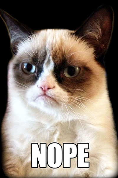 Grumpy Cat says nope